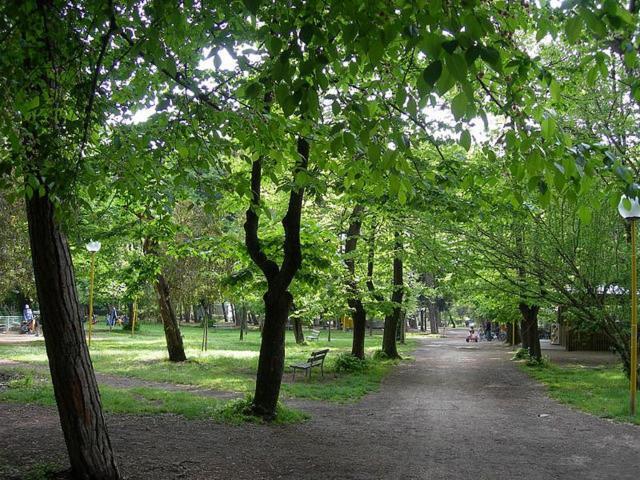 Villa Grazia فياريجيو المظهر الخارجي الصورة